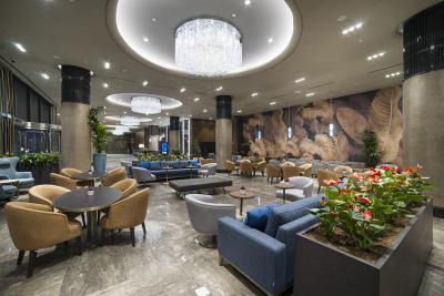 Radisson Blu Hotel Vadistanbul